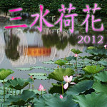 sanshui_lotus_cover