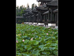 06_L1020403