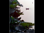 12_L1020431