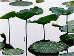 14_L1020338