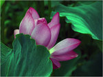 16_L1020345