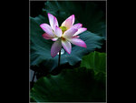19_L1020400