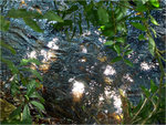 09_L1030810