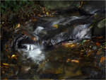 11_L1030813