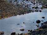 16_L1030822