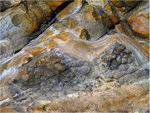 21_L1030834