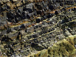 24_L1030839