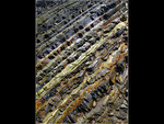 29_L1030847