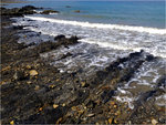 31_L1030850
