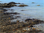 33_L1030854