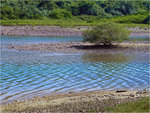 37_L1030866