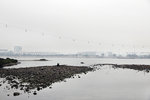 13_IMG_9568