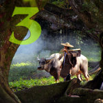 cover_3
