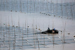 094_IMG_6640