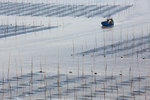 095_IMG_6648