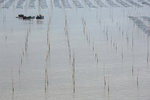 096_IMG_6675