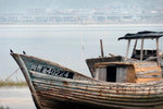 101_L1020672