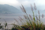 102_L1020660
