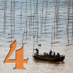 cover_4