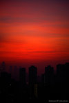IMG_9582 resize1