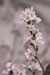 IMG_5896