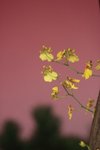 IMG_5920
