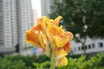 IMG_1076