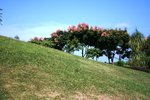 IMG_1162s
