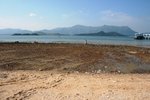 IMG_1186