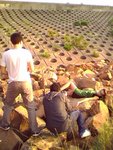 IMG0097A