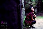 ada_lau0011