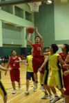 Sbl531 (33)