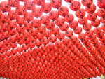 Twai Wan Day2 4-4-2007 (3)