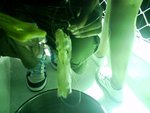 Jenny釣到唯一一條魷魚....