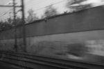 IMG_7123