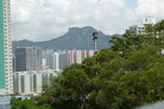 P1020844