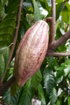 P1010493