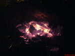 DSC08948