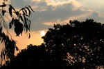 IMG_0096