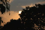 IMG_0098