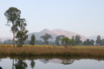 IMG_9748