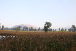 IMG_9751