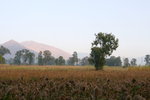 IMG_9752