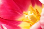 IMG_3828b_resize