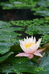 IMG_3873b_resize