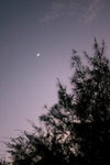 IMG_0121a_resize