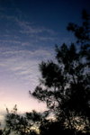 IMG_0123a_resize