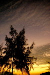 IMG_0127ac_resize