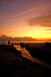 IMG_0136x_resize