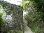 PICT0009